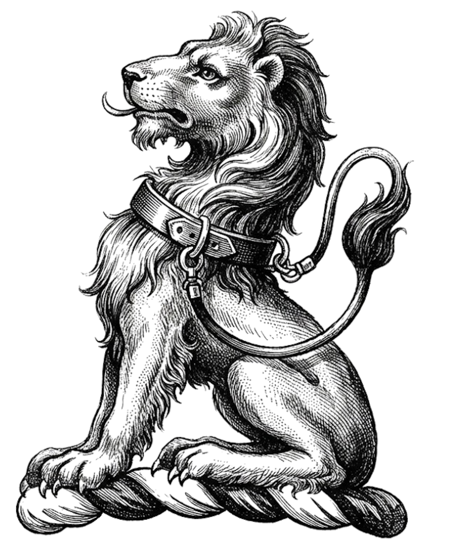 A Lion Sejant Regardant digital download: Includes Color PNG, B&W PNG, and SVG vector files