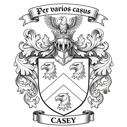The Casey Family Coat of Arms digital download: Includes Color PNG, B&W PNG, and SVG vector files