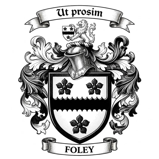 The Foley Family Coat of Arms digital download: Includes Color PNG, B&W PNG, and SVG vector files