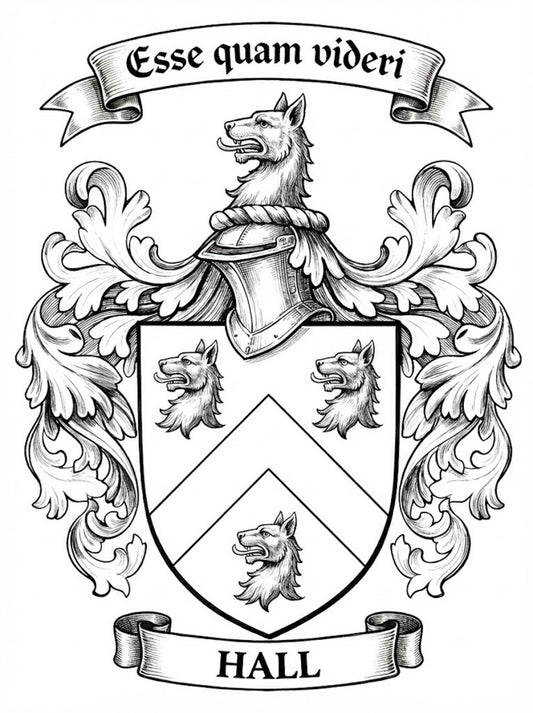 The Hall Family Coat of Arms digital download: Includes Color PNG, B&W PNG, and SVG vector files