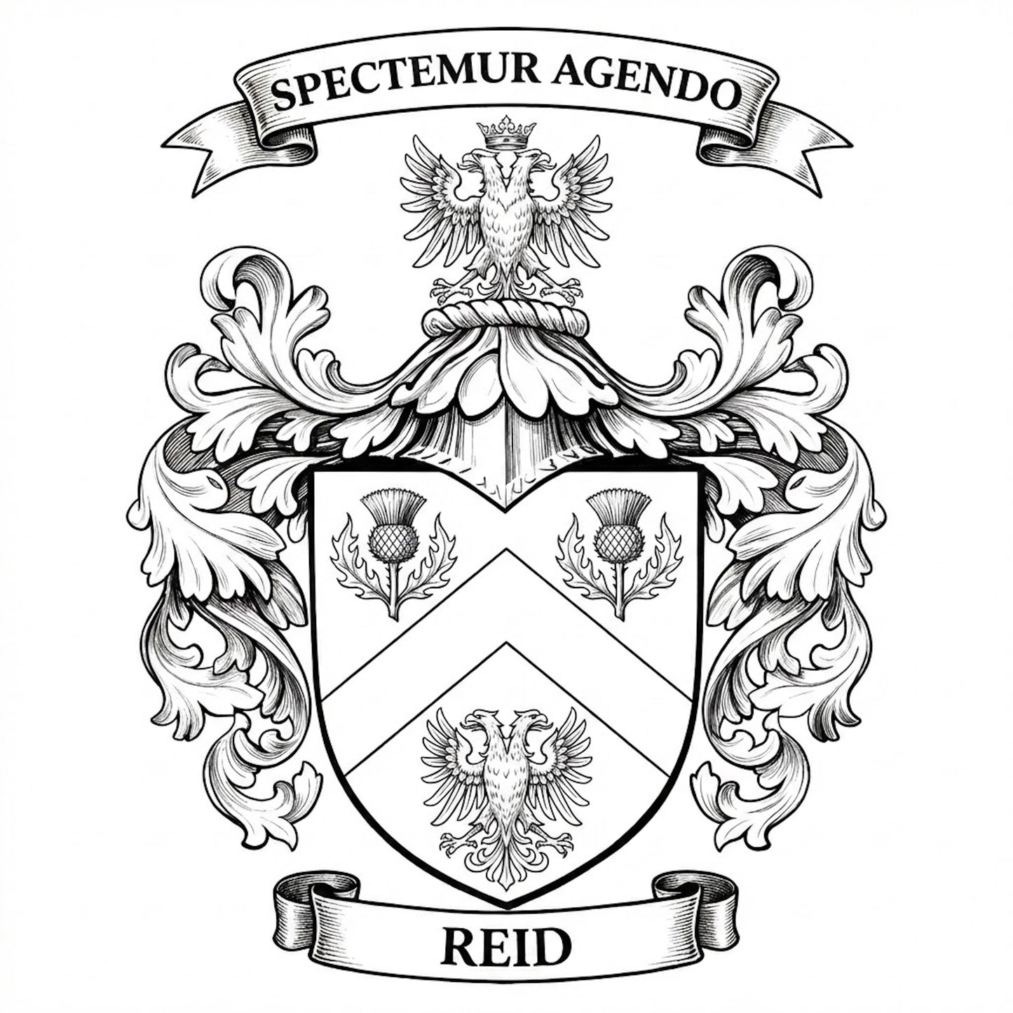The Reid Family Coat of Arms digital download: Includes Color PNG, B&W PNG, and SVG vector files