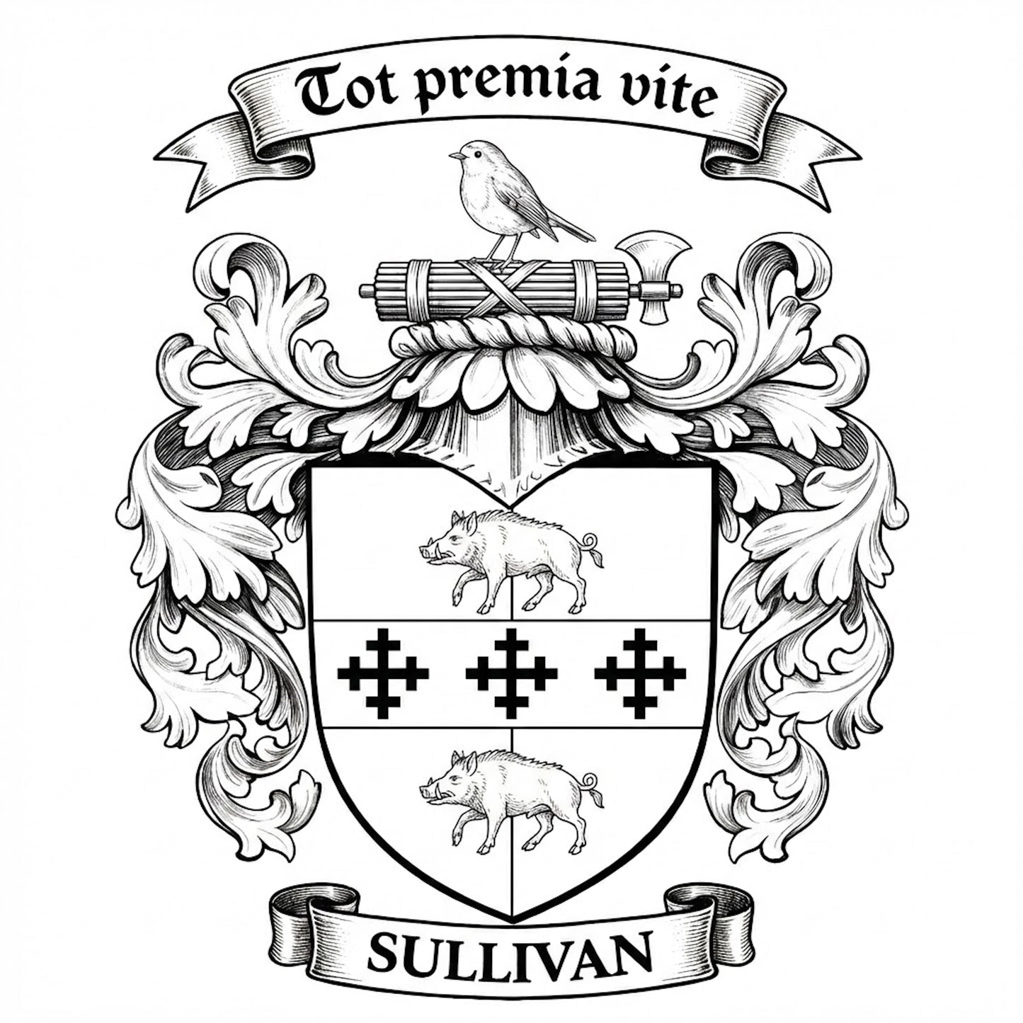 The Sullivan Family Coat of Arms digital download: Includes Color PNG, B&W PNG, and SVG vector files