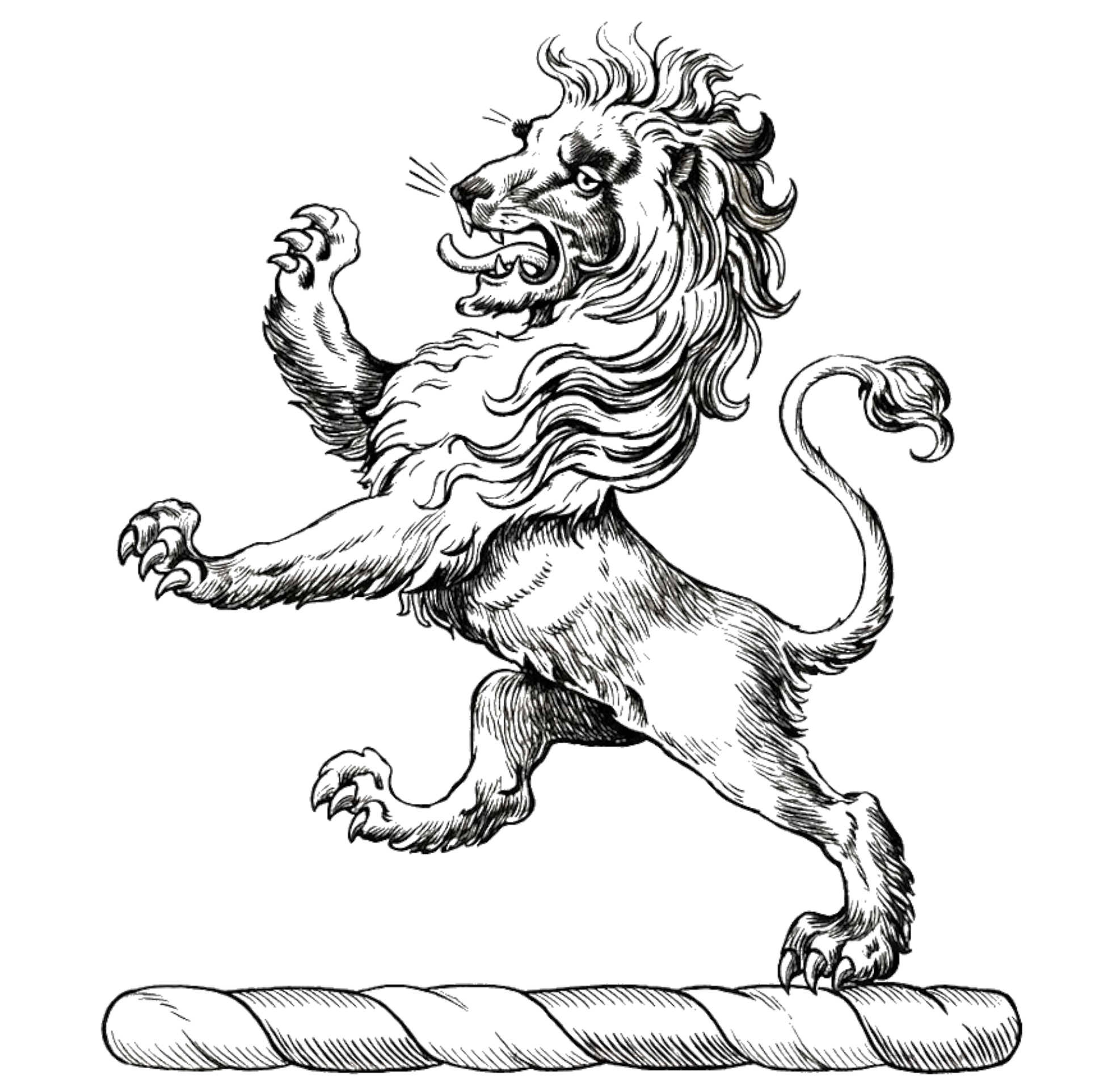 A lion rampant sable digital download: Includes Color PNG, B&W PNG, and SVG vector files