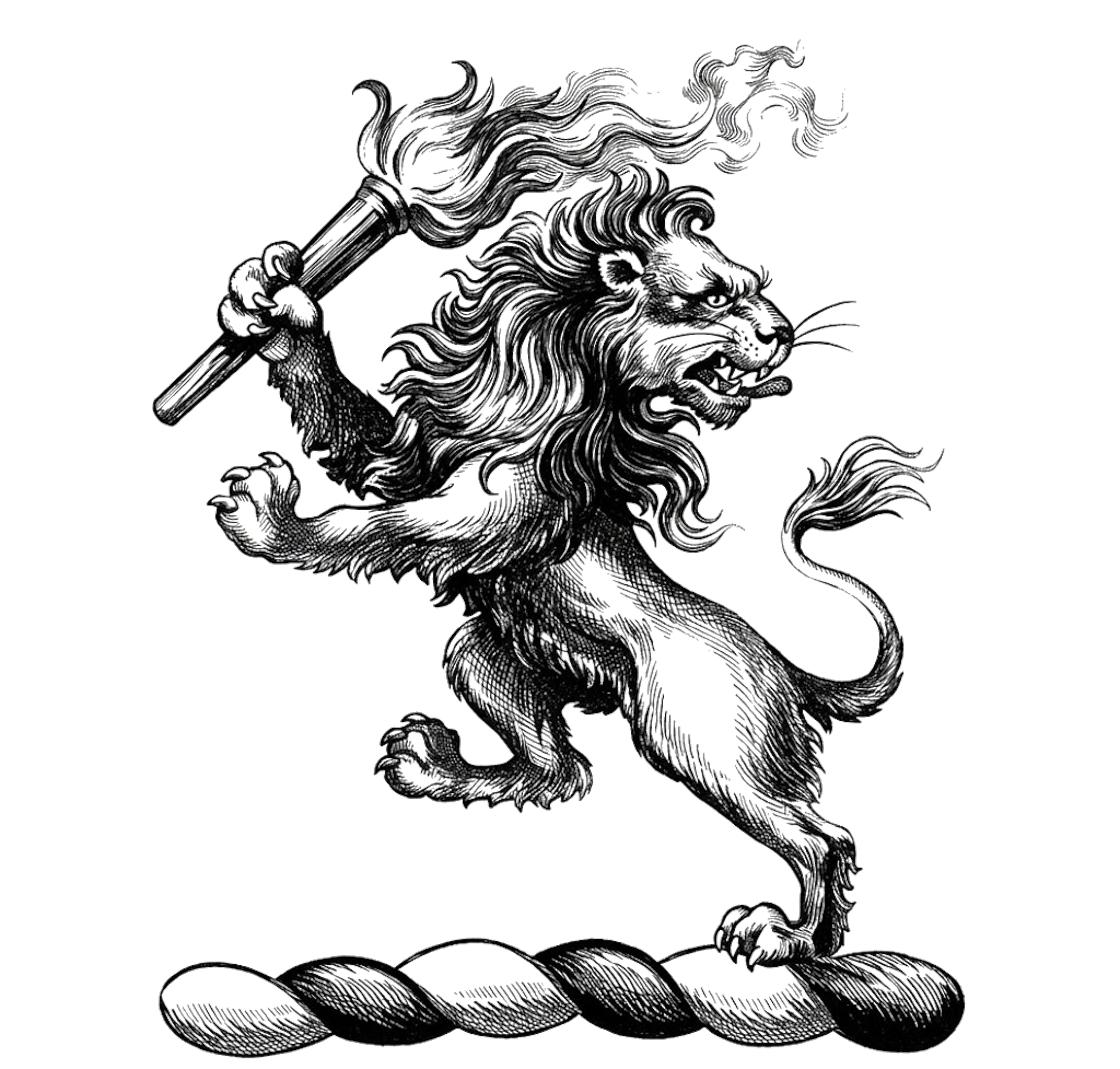 A lion rampant holding in the dexter paw a torch inflamed digital download: Includes Color PNG, B&W PNG, and SVG vector files