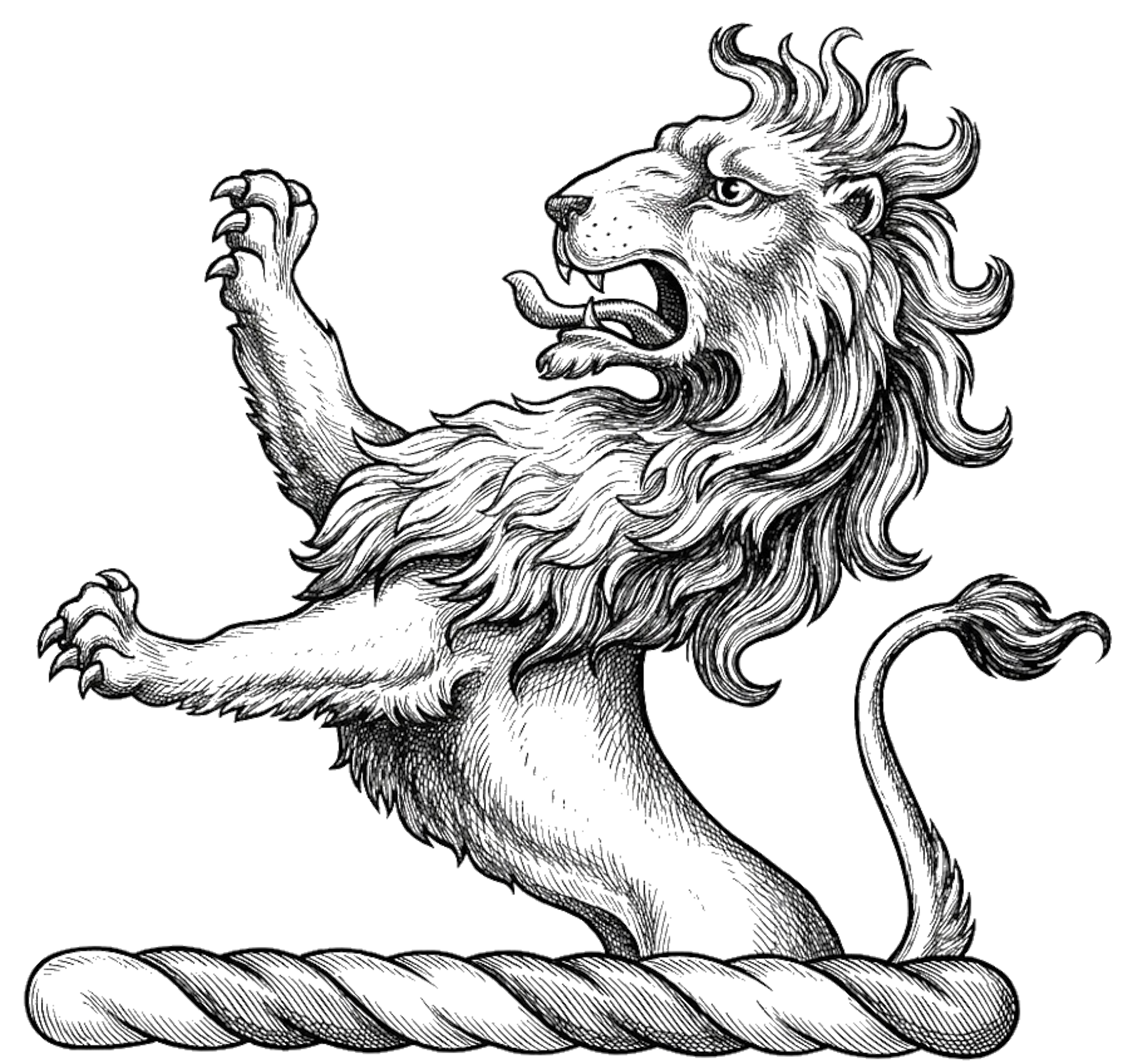 A demi-lion rampant sable digital download: Includes Color PNG, B&W PNG, and SVG vector files