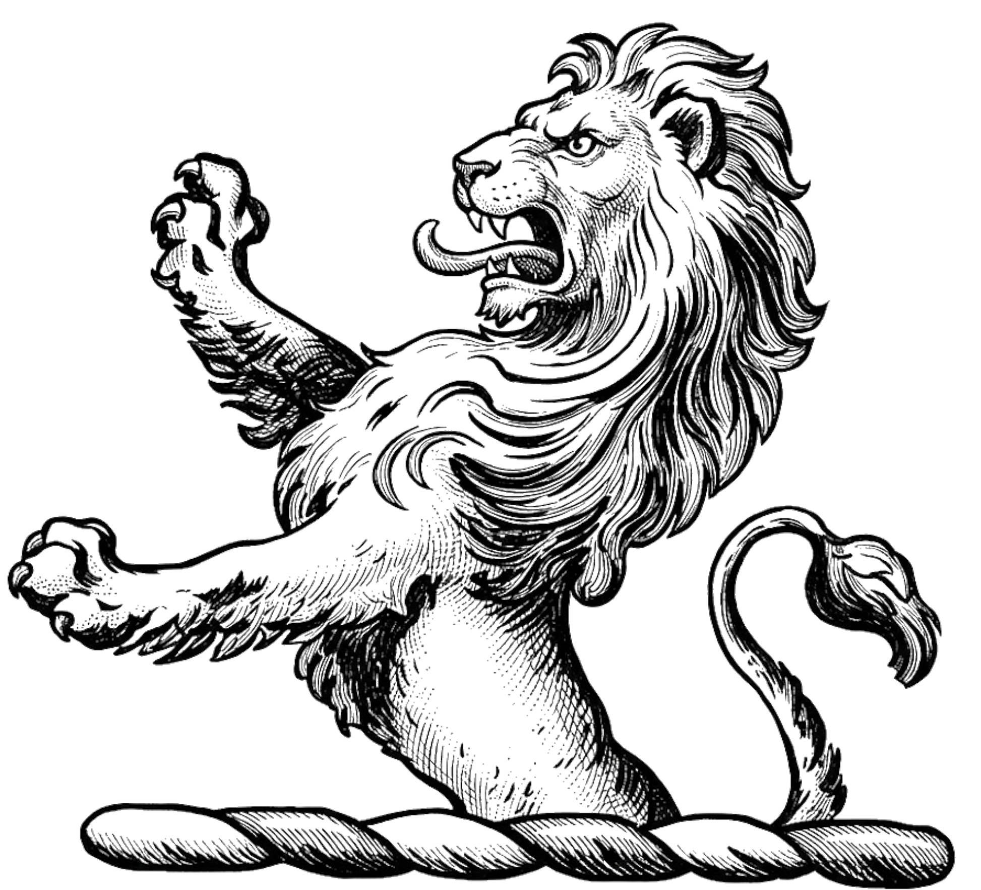 A demi-lion rampant or digital download: Includes Color PNG, B&W PNG, and SVG vector files