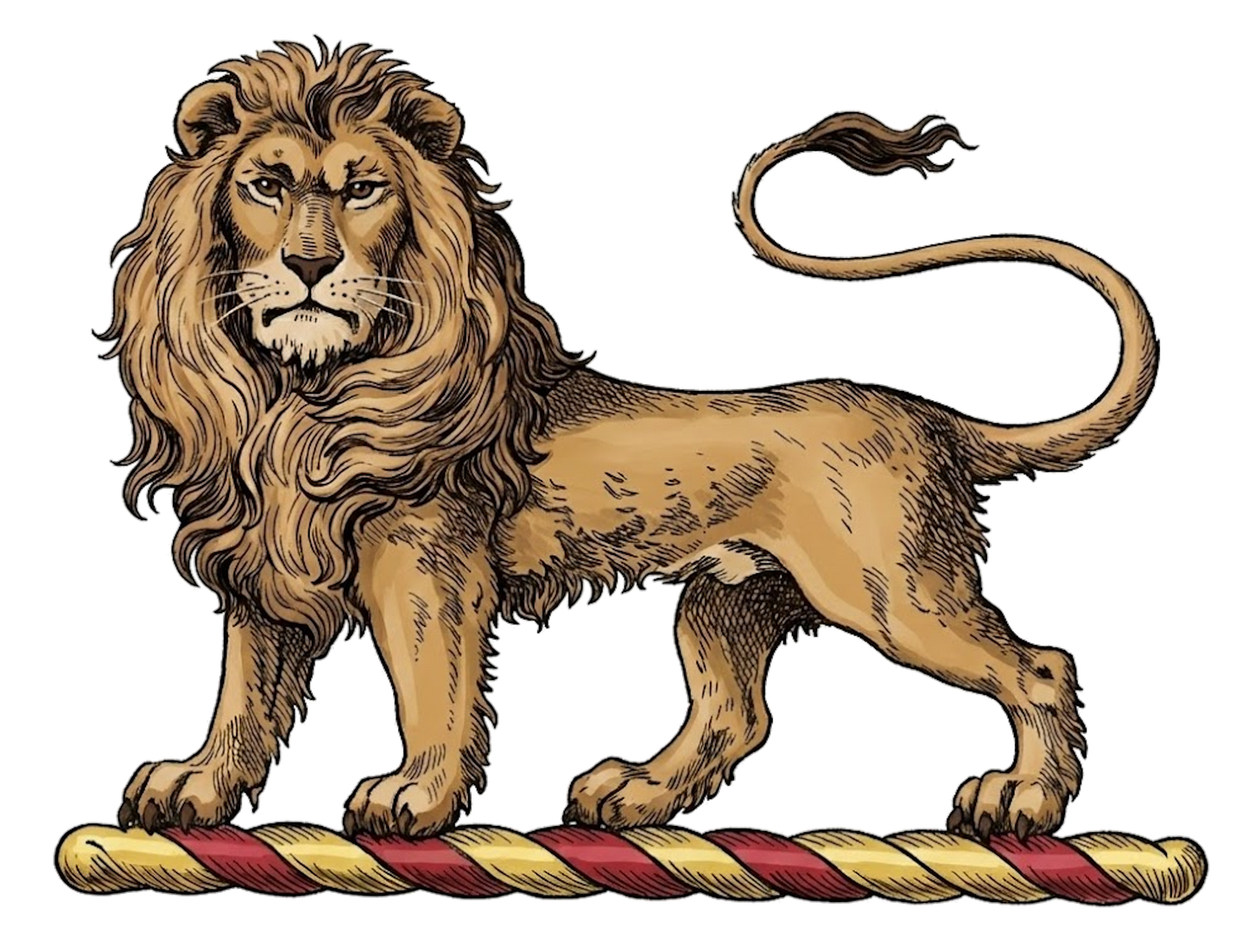 Lion Statant Gardant Sable digital download: Includes Color PNG, B&W PNG, and SVG vector files