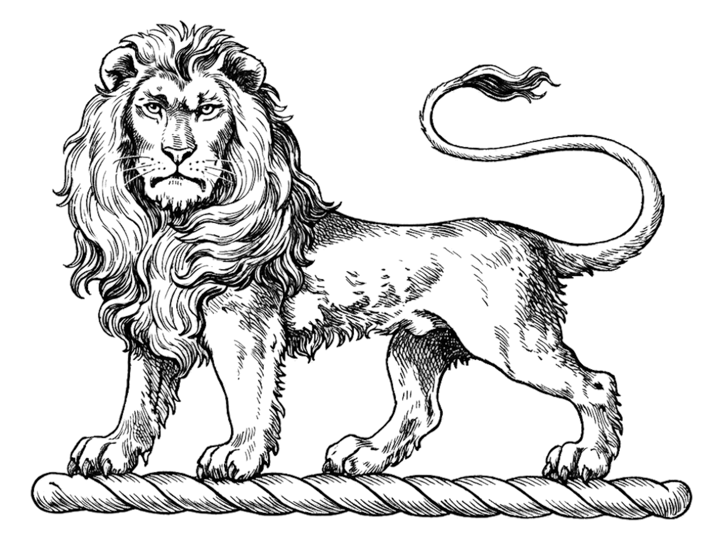 Lion Statant Gardant Sable digital download: Includes Color PNG, B&W PNG, and SVG vector files