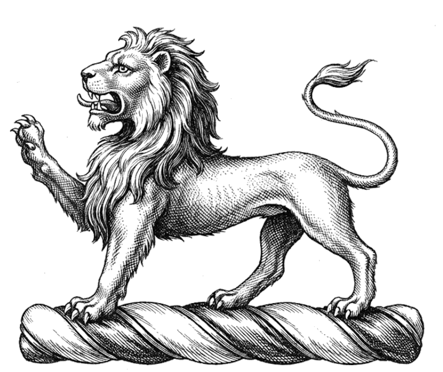 A lion passant, the tail extended, proper digital download: Includes Color PNG, B&W PNG, and SVG vector files