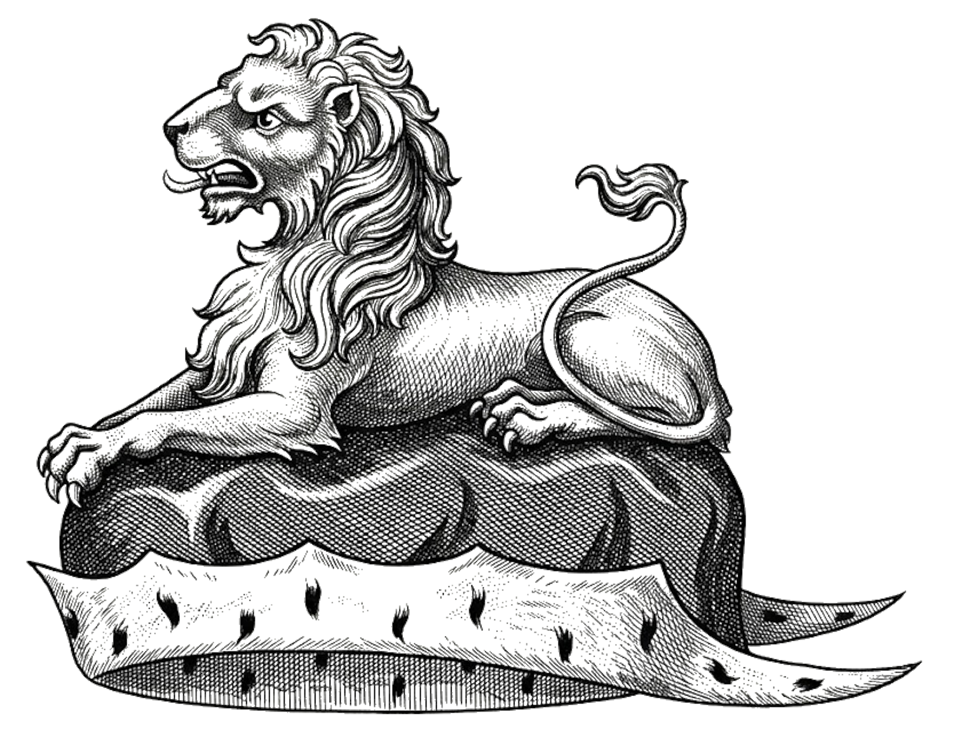 On a chapeau Gules, turned up Ermine, a lion couchant Or digital download: Includes Color PNG, B&W PNG, and SVG vector files