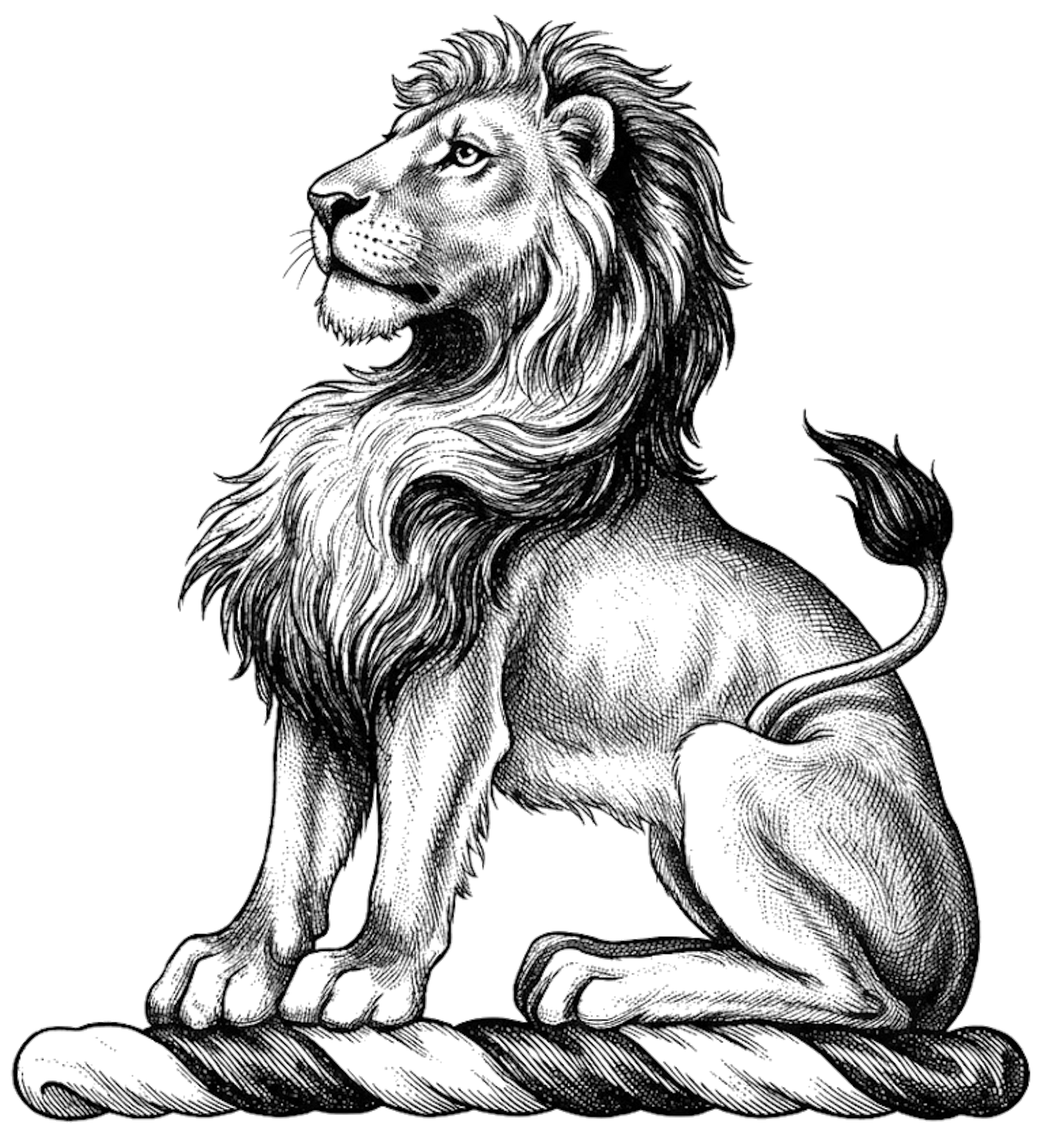 A Lion Sejant digital download: Includes Color PNG, B&W PNG, and SVG vector files