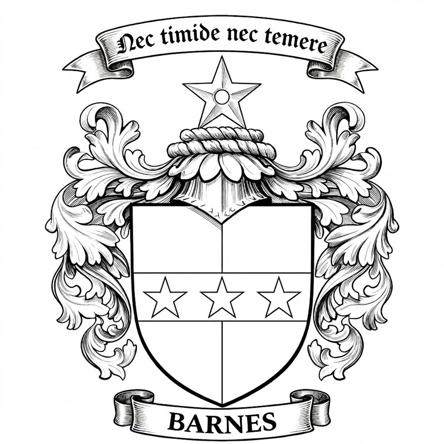 The Barnes Family Coat of Arms digital download: Includes Color PNG, B&W PNG, and SVG vector files