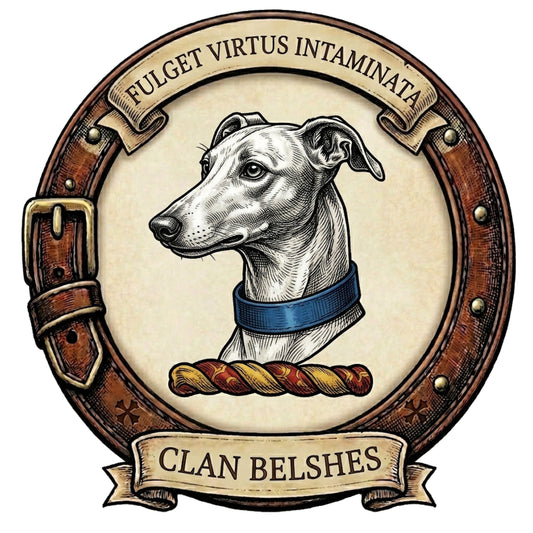 Clan Belshes Crest digital download: Includes Color PNG, B&W PNG, and SVG vector files