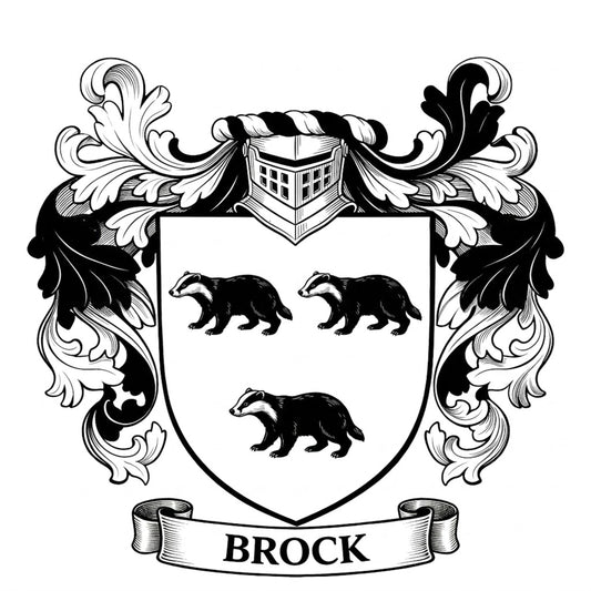 The Brock Family Coat of Arms digital download: Includes Color PNG, B&W PNG, and SVG vector files