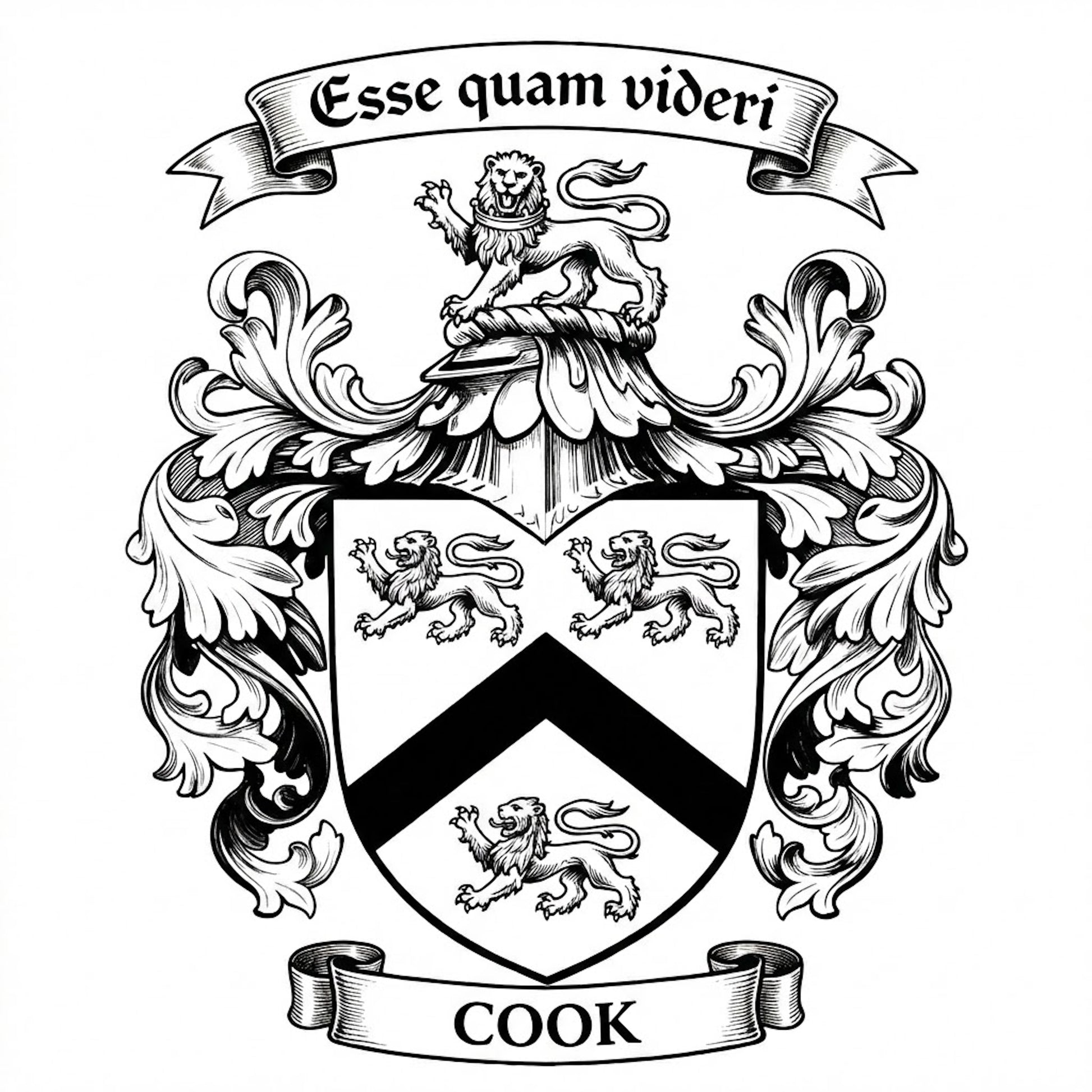 The Cook Family Coat of Arms digital download: Includes Color PNG, B&W PNG, and SVG vector files