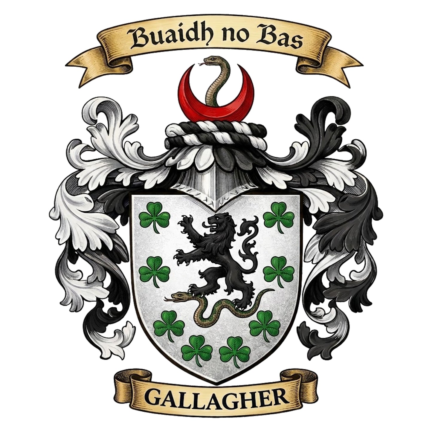 The Gallagher Family Coat of Arms digital download: Includes Color PNG, B&W PNG, and SVG vector files