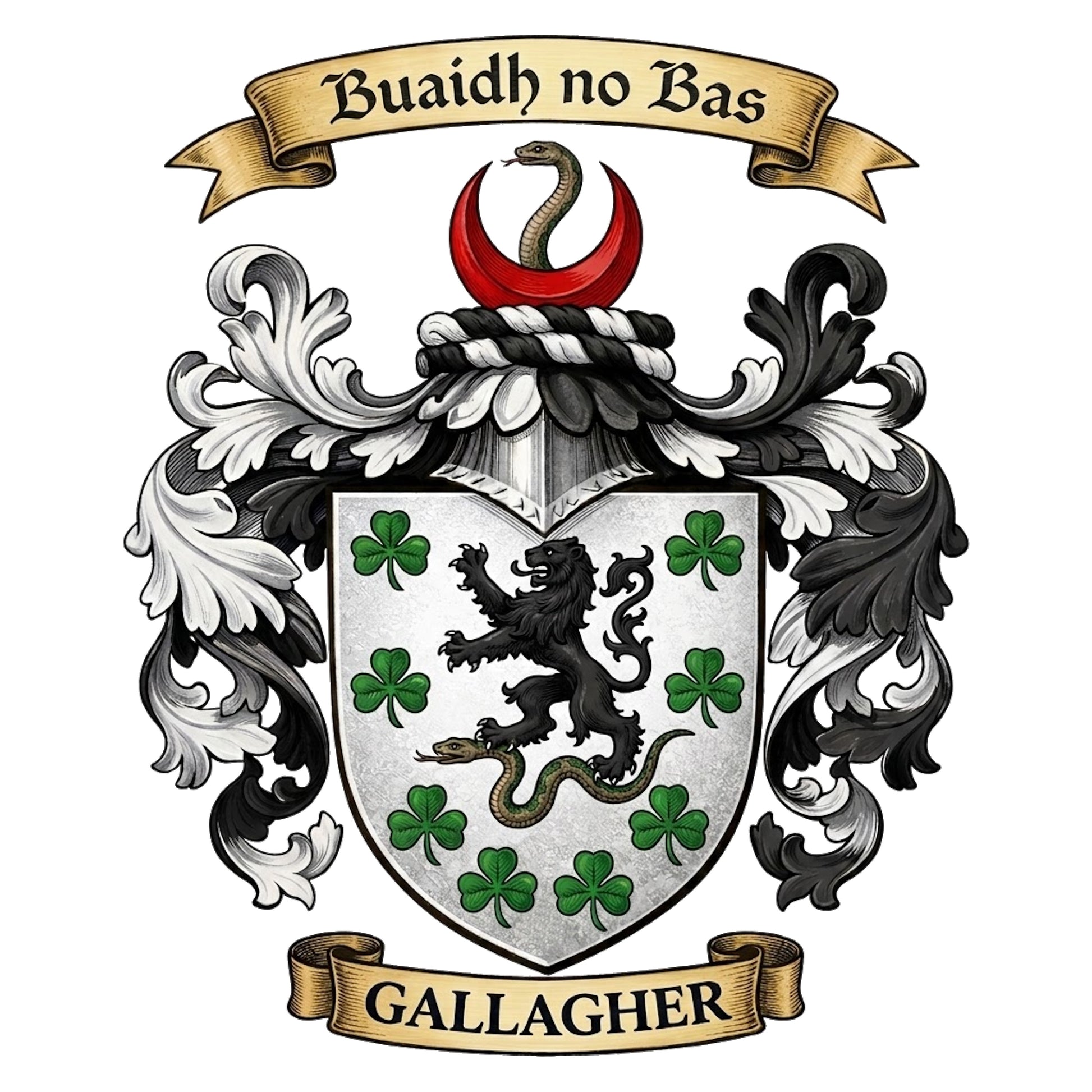The Gallagher Family Coat of Arms digital download: Includes Color PNG, B&W PNG, and SVG vector files