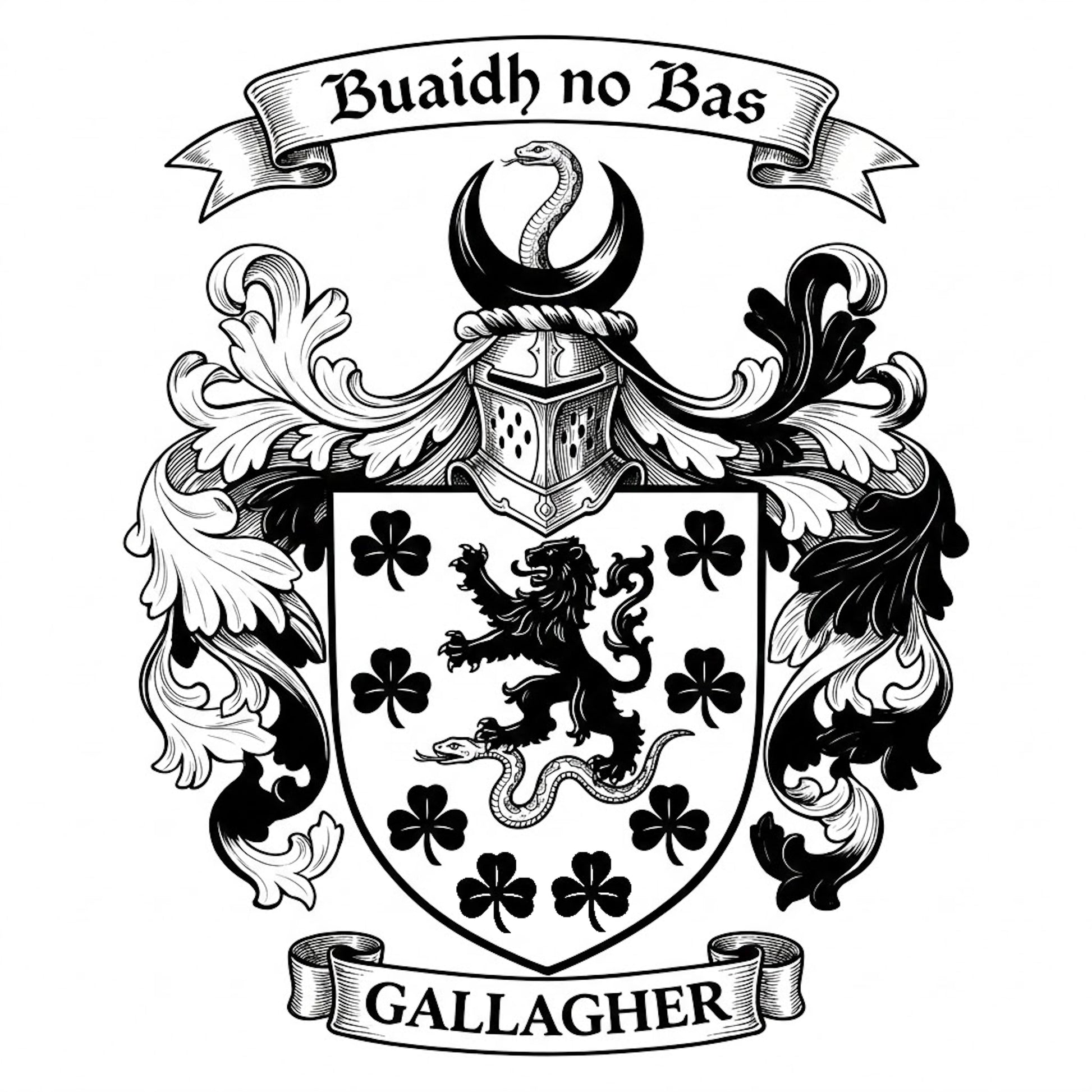The Gallagher Family Coat of Arms digital download: Includes Color PNG, B&W PNG, and SVG vector files
