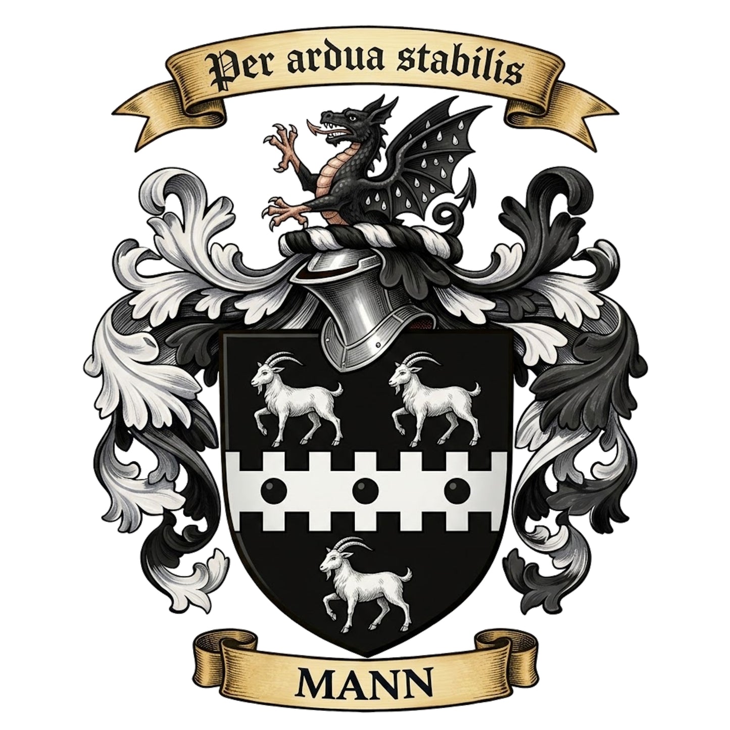 The Mann Family Coat of Arms digital download: Includes Color PNG, B&W PNG, and SVG vector files