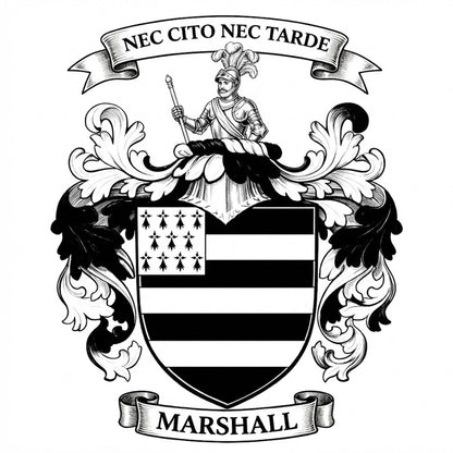The Marshall Family Coat of Arms digital download: Includes Color PNG, B&W PNG, and SVG vector files