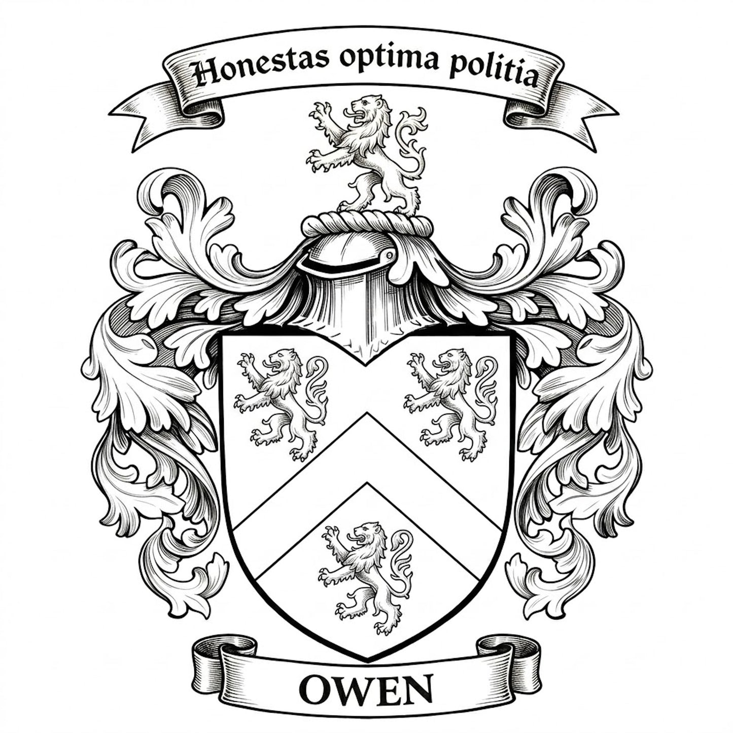 The Owen Family Coat of Arms digital download: Includes Color PNG, B&W PNG, and SVG vector files