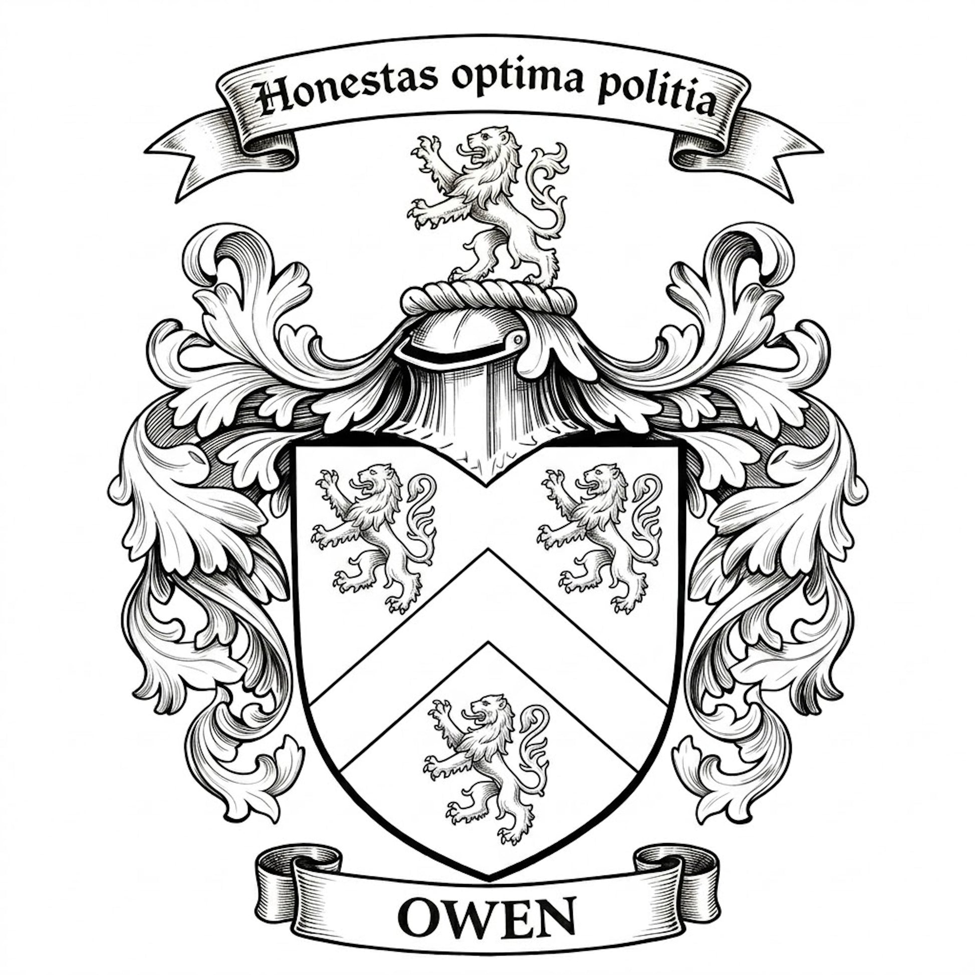 The Owen Family Coat of Arms digital download: Includes Color PNG, B&W PNG, and SVG vector files