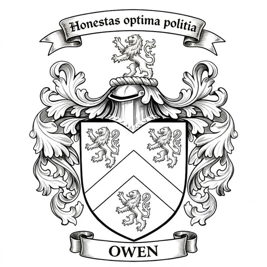 The Owen Family Coat of Arms digital download: Includes Color PNG, B&W PNG, and SVG vector files
