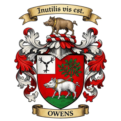 The Owens Family Coat of Arms digital download: Includes Color PNG, B&W PNG, and SVG vector files