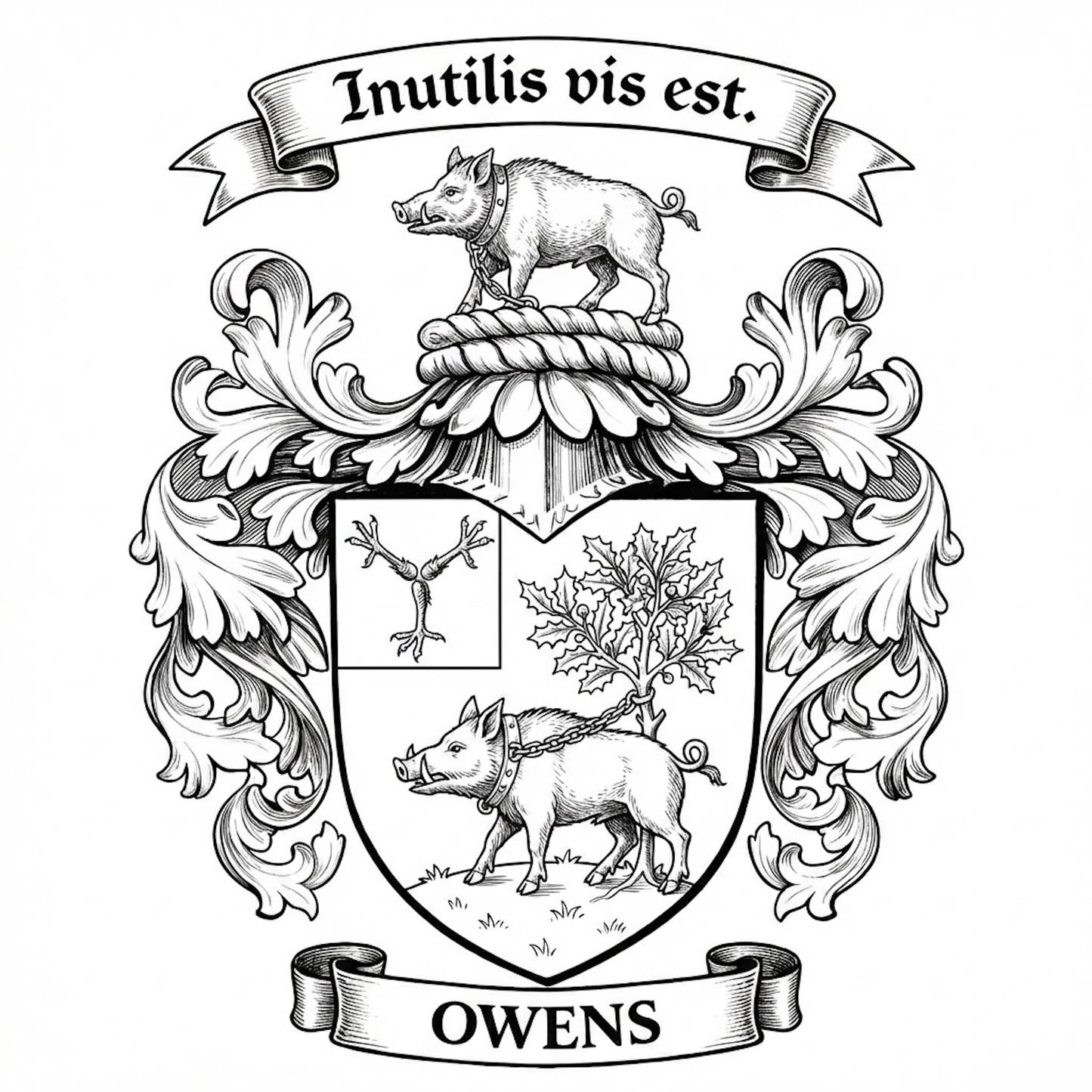 The Owens Family Coat of Arms digital download: Includes Color PNG, B&W PNG, and SVG vector files