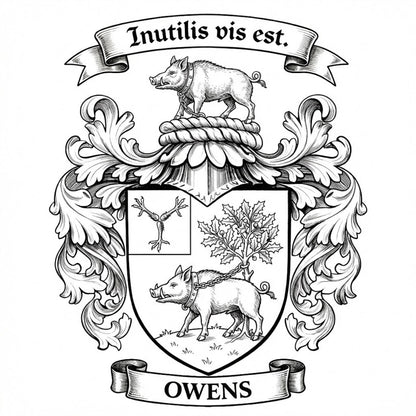 The Owens Family Coat of Arms digital download: Includes Color PNG, B&W PNG, and SVG vector files