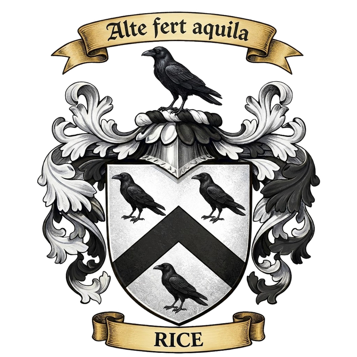 The Rice Family Coat of Arms – Fairbairn’s Crests