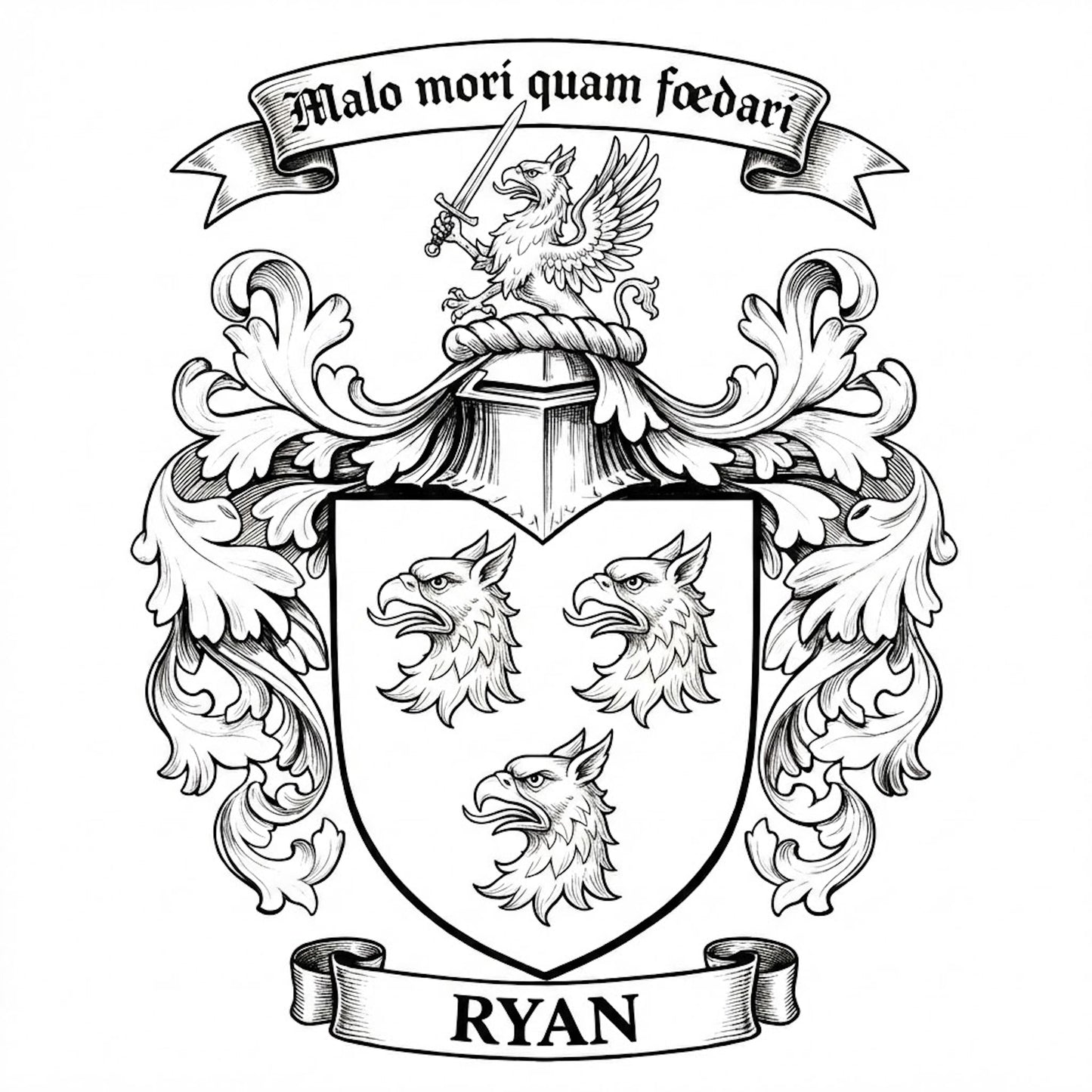 The Ryan Family Coat of Arms digital download: Includes Color PNG, B&W PNG, and SVG vector files