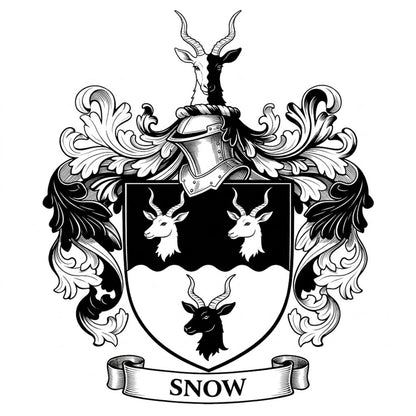 The Snow Family Coat of Arms digital download: Includes Color PNG, B&W PNG, and SVG vector files