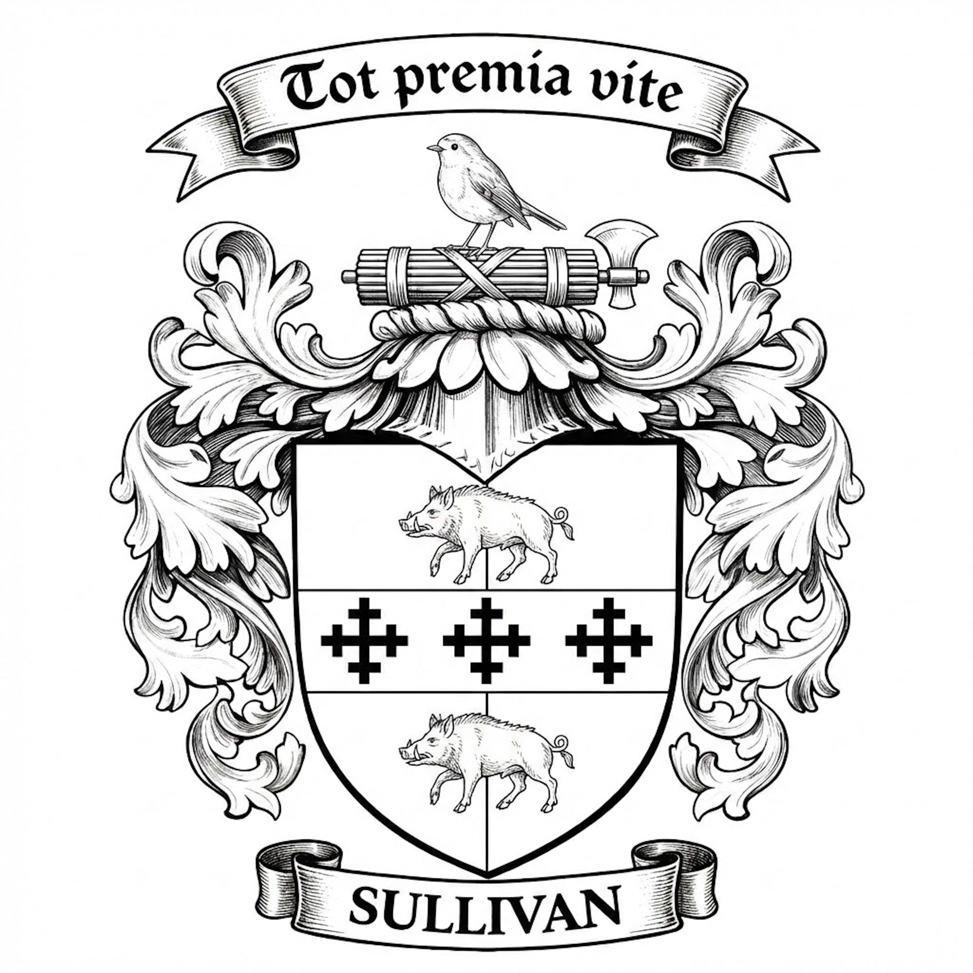 The Sullivan Family Coat of Arms digital download: Includes Color PNG, B&W PNG, and SVG vector files