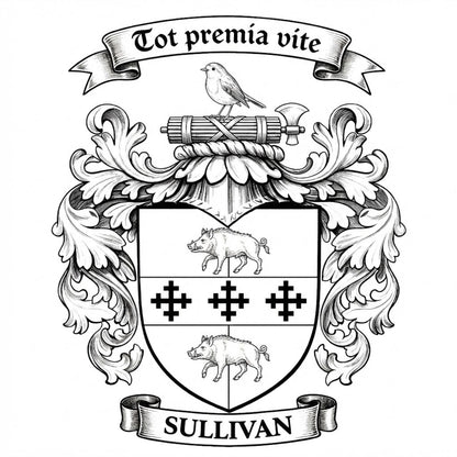 The Sullivan Family Coat of Arms digital download: Includes Color PNG, B&W PNG, and SVG vector files