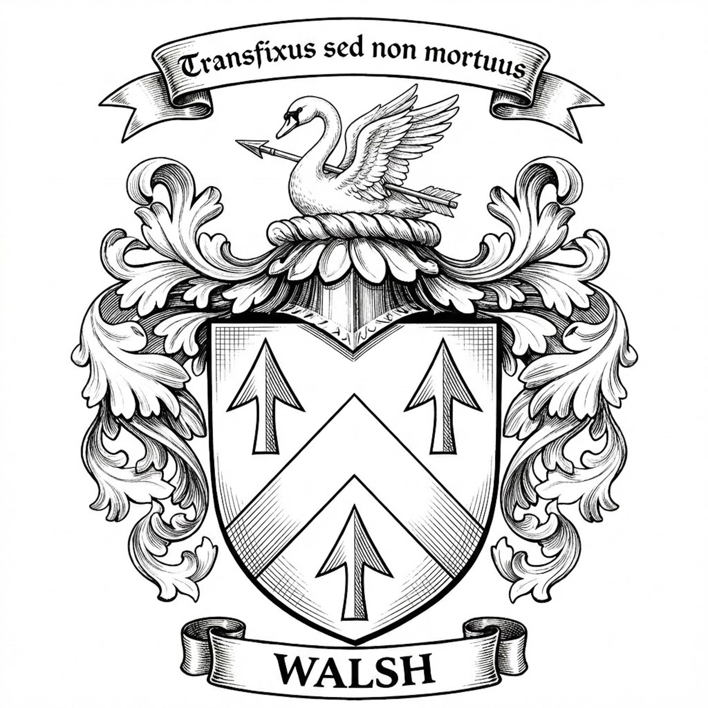 The Walsh Family Coat of Arms digital download: Includes Color PNG, B&W PNG, and SVG vector files